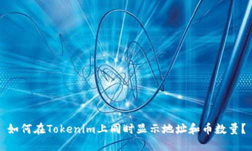 如何在Tokenim上同时显示地址和币数量?