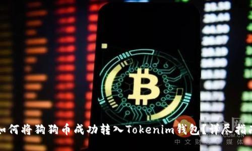 如何将狗狗币成功转入Tokenim钱包?详尽指南