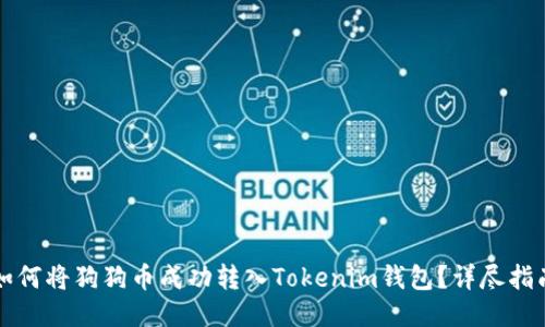 如何将狗狗币成功转入Tokenim钱包？详尽指南