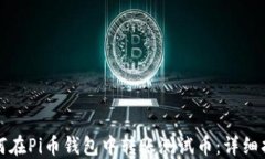 如何在Pi币钱包中转账测试币:详细指南