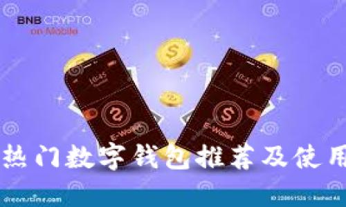 中国热门数字钱包推荐及使用指南