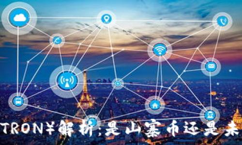 波场币(TRON)解析:是山寨币还是未来之星?