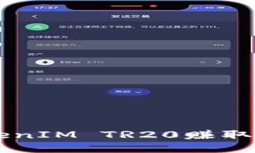  如何通过TokenIM TR20赚取能量：全面指南