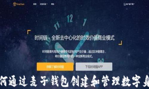 
如何通过麦子钱包创建和管理数字身份