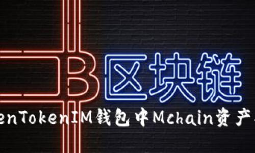 如何解决TokenTokenIM钱包中Mchain资产找不到的问题