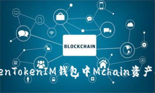 如何解决TokenTokenIM钱包中Mchain资产找不到的问题