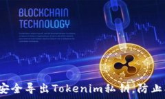   如何安全导出Tokenim私钥，防止被盗？
