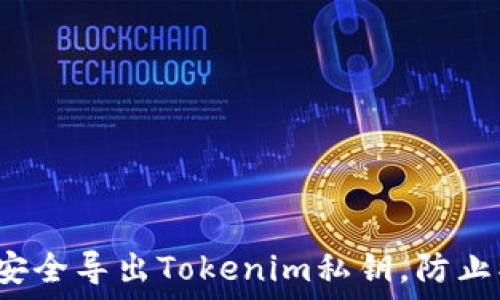   
如何安全导出Tokenim私钥，防止被盗？