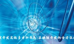 如何开发高效多币种钱包:区块链开发的全方位
