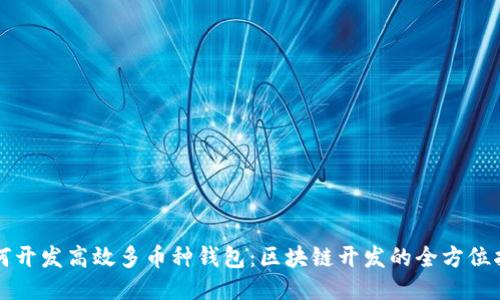 如何开发高效多币种钱包:区块链开发的全方位指南