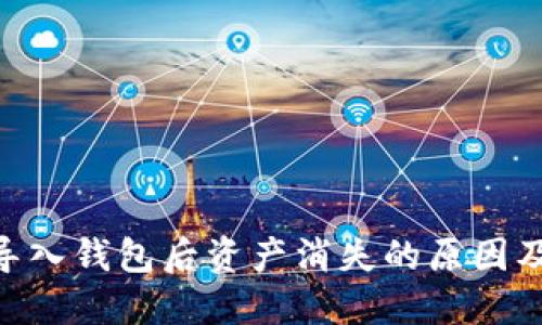 Tokenim导入钱包后资产消失的原因及解决方案