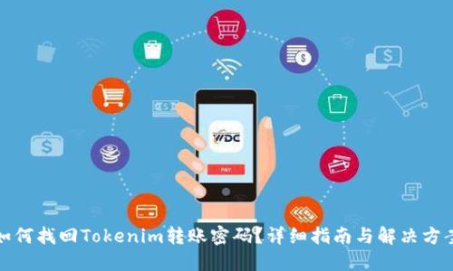如何找回Tokenim转账密码？详细指南与解决方案