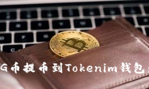 如何将PIG币提币到Tokenim钱包：详细教程