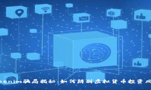 Tokenim骗局揭秘：如何辨别虚拟货币投资风险