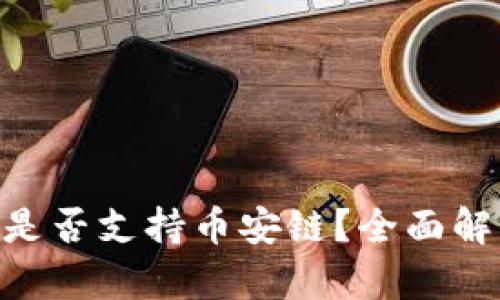 Tokenim钱包是否支持币安链？全面解析与使用指南
