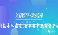 数字货币钱包导入痕迹：全面解析数字资产安全