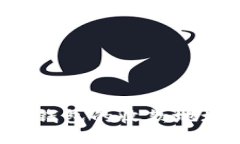 如何找到Tokentokenim钱包的收款地址开头并使用它