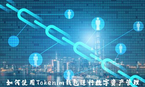 如何使用Tokenim钱包进行数字资产管理