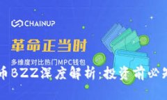 ### 虚拟币BZZ深度解析：投资前必知的关键要素