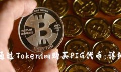 如何通过Tokenim购买PIG代币:详细指南
