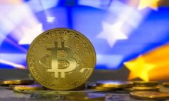 在这里，我们可以构思一个关于Tokenim支持多钱包
