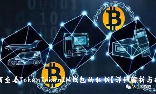 如何查看TokenTokenIM钱包的私钥?详细解析与指南
