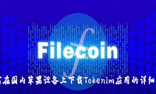 :
如何在国内苹果设备上下载Tokenim应用的详细指南