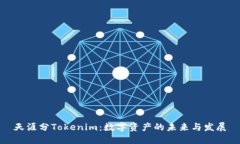 天涯分Tokenim:数字资产的未来与发展
