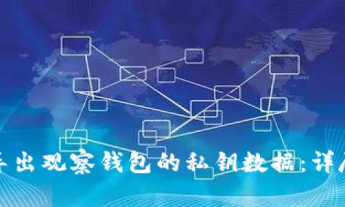 如何导出观察钱包的私钥数据：详尽教程