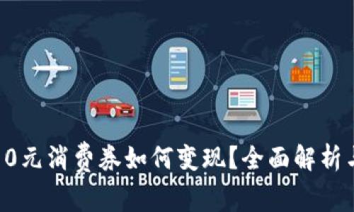 数字钱包10元消费券如何变现?全面解析与实用技巧