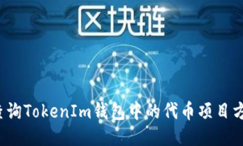 如何查询TokenIm钱包中的代币项目方信息?