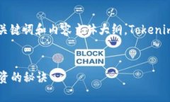 好的，下面是一个关于“Tokenim”的、相关关键词