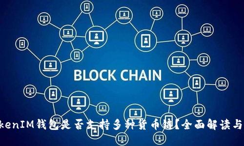 TokenTokenIM钱包是否支持多种货币链？全面解读与使用指南