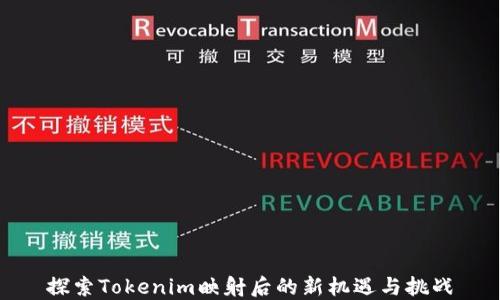
探索Tokenim映射后的新机遇与挑战