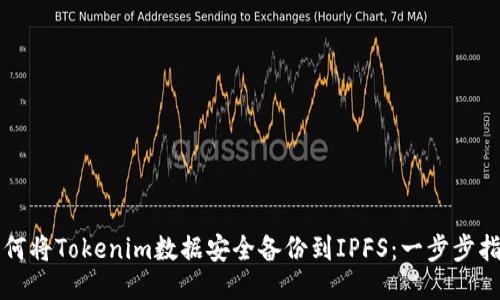 如何将Tokenim数据安全备份到IPFS:一步步指南