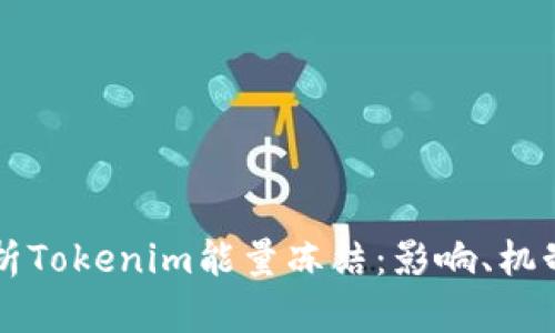 深入解析Tokenim能量冻结:影响、机制与应用
