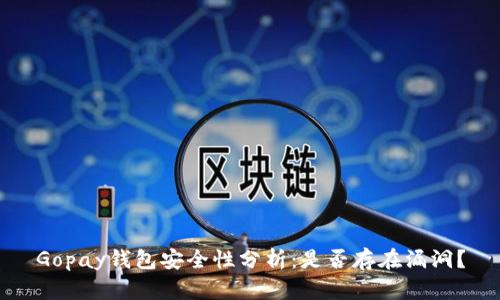 Gopay钱包安全性分析：是否存在漏洞？