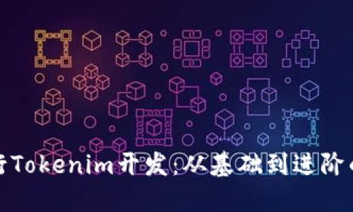 如何进行Tokenim开发:从基础到进阶的全攻略