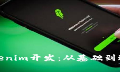 如何进行Tokenim开发:从基础到进阶的全攻略