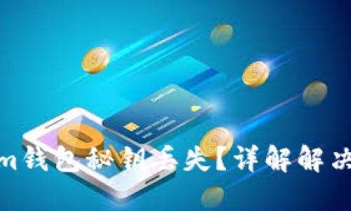如何应对Tokenim钱包秘钥丢失?详解解决方案与预防措施