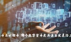 派币与比特币：哪个数字货币更具未来发展潜力