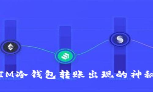 如何处理IM冷钱包转账出现的神秘数字问题