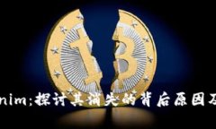 Doge币与Tokenim:探讨其消失的背后原因及对未来的