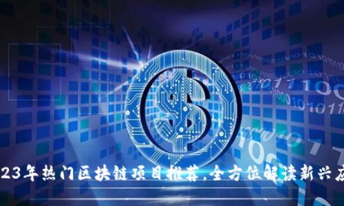 2023年热门区块链项目推荐,全方位解读新兴应用