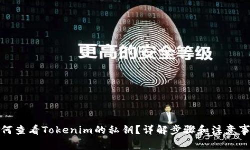 如何查看Tokenim的私钥？详解步骤和注意事项