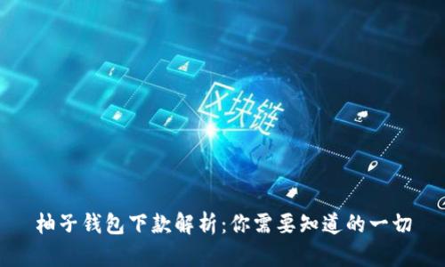 柚子钱包下款解析:你需要知道的一切