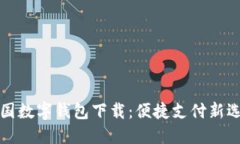 中国数字钱包下载:便捷支付新选择