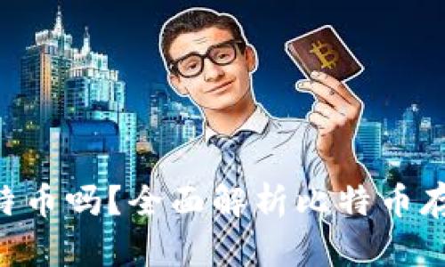 Tokenim可以存比特币吗?全面解析比特币存储的选择与安全性