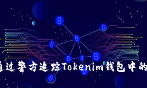 如何通过警方追踪Tokenim钱包中的资金？