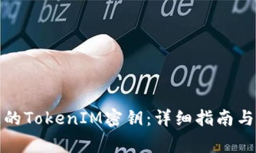 如何找回丢失的TokenIM密钥:详细指南与常见问题解答